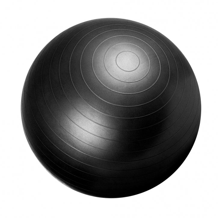 Technogym Exercise Ball