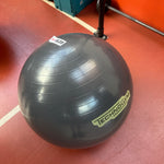 Load image into Gallery viewer, Technogym Exercise Ball