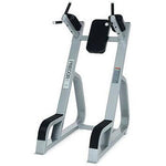 Load image into Gallery viewer, Precor Vertical Knee Raise/Dip Station
