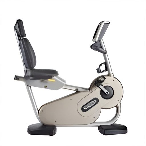 Technogym  500 Recumbent Bike