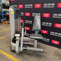 Precor Discovery Leg Extension