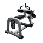 Load image into Gallery viewer, Precor Calf Raise
